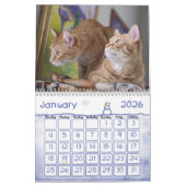 Calendrier 2022 de la muraille de chat Ginger (Jan 2026)