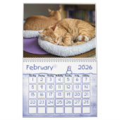 Calendrier 2022 de la muraille de chat Ginger (Feb 2026)