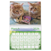 Calendrier 2022 de la muraille de chat Ginger (Mar 2026)