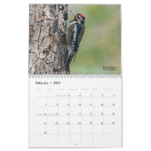 Calendrier 2022 de l'oiseau pour pics-bois (Feb 2027)
