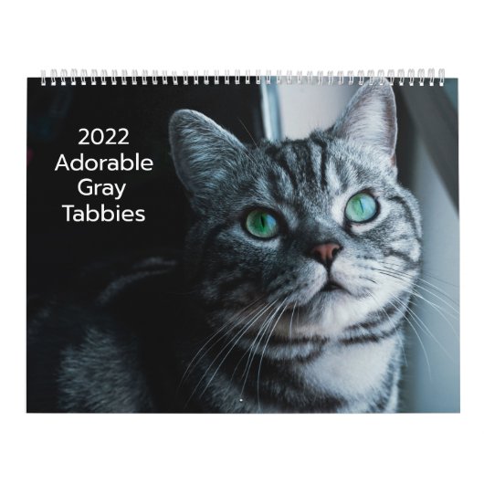 Calendrier 2022 des Adorables Grises Tigrées (Protection)