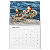 Calendrier 2022 des beaux oiseaux (Jan 2027)