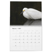 Calendrier 2022 des beaux oiseaux (Feb 2027)