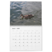 Calendrier 2022 des Canards sauvages (Mar 2027)