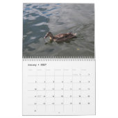 Calendrier 2022 des Canards sauvages (Jan 2027)