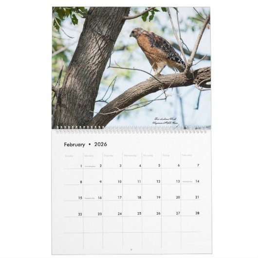 Calendrier 2022 des oiseaux pour les rapaces (Feb 2026)