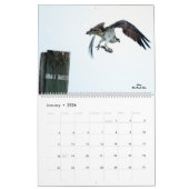 Calendrier 2022 des oiseaux pour les rapaces (Jan 2026)
