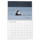 Calendrier 2022 des résidents du Sud tuant des bal (Jan 2027)