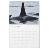 Calendrier 2022 des résidents du Sud tuant des bal (Feb 2027)