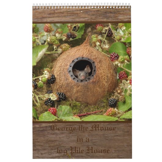 Calendrier 2022 George la souris dans une pile de logis calen (Protection)
