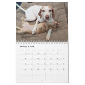 Calendrier 2022 Pointeurs et Pals PointerRescue Org Calendrie (Feb 2026)