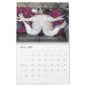 Calendrier 2022 Pointeurs et Pals PointerRescue Org Calendrie (Mar 2027)