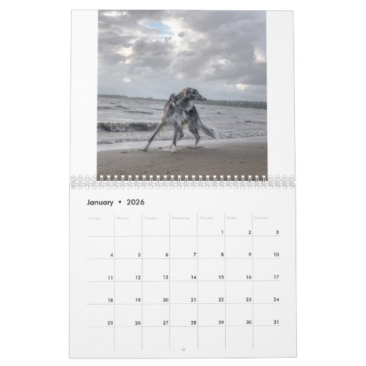 Calendrier 2022 Silken Windhounds (Multiple Dogs & In Action) (Jan 2026)