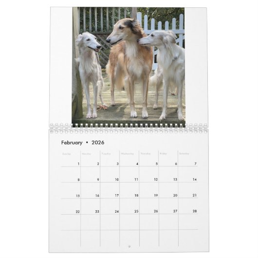 Calendrier 2022 Silken Windhounds (Multiple Dogs & In Action) (Feb 2026)