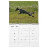 Calendrier 2022 Silken Windhounds (Multiple Dogs & In Action) (Mar 2026)