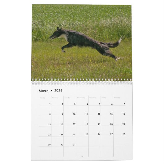 Calendrier 2022 Silken Windhounds (Multiple Dogs & In Action) (Mar 2026)