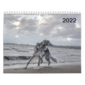 Calendrier 2022 Silken Windhounds (Multiple Dogs & In Action) (Protection)