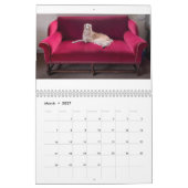 Calendrier 2022 Silken Windhounds (Repose) (Mar 2027)