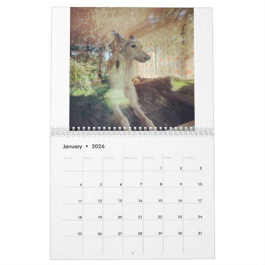 Calendrier 2022 Silken Windhounds (Repose) (Jan 2026)