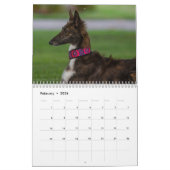 Calendrier 2022 Silken Windhounds (Repose) (Feb 2026)