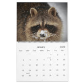 Calendrier 2022 Wild Blue Yonder Raccoon Rescue (Jan 2026)