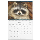 Calendrier 2022 Wild Blue Yonder Raccoon Rescue (Mar 2026)