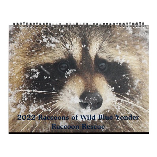 Calendrier 2022 Wild Blue Yonder Raccoon Rescue (Protection)