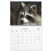 Calendrier 2022 Wild Blue Yonder Raccoon Rescue (Feb 2026)