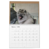 Calendrier 2023 (Feb 2026)