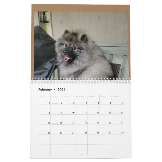 Calendrier 2023 (Feb 2026)