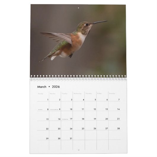 Calendrier 2023 (Mar 2026)