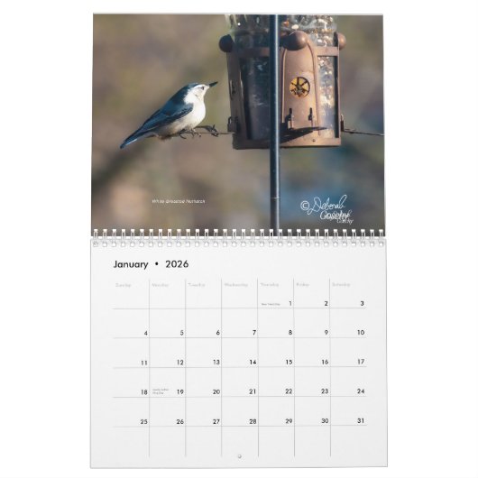 Calendrier 2023 (Jan 2026)