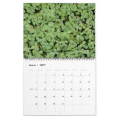 CALENDRIER 2023 (Mar 2027)