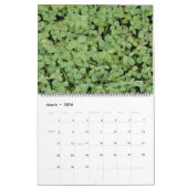 CALENDRIER 2023 (Mar 2026)