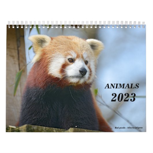 Calendrier 2023 animaux (Protection)