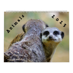 Calendrier 2023 Animaux Kalender