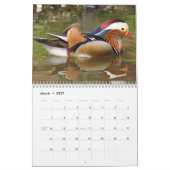 Calendrier 2023 Avec Vacances - Oiseaux (Mar 2027)