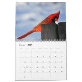 Calendrier 2023 Avec Vacances - Oiseaux (Jan 2027)