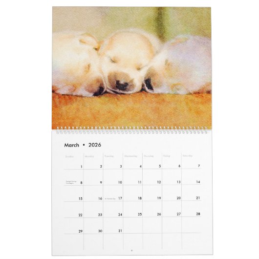 Calendrier 2023 Carlin mignon chien maman maman propriétaire (Mar 2026)