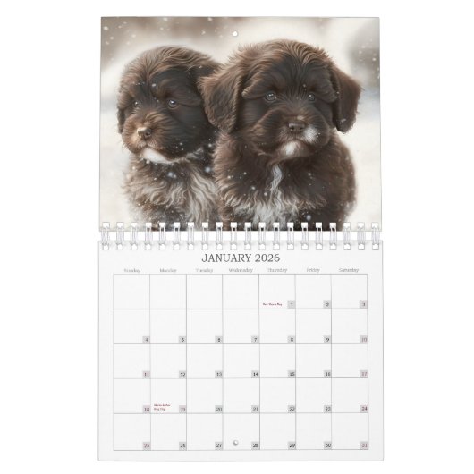 Calendrier 2023 Chocolat Havanais Chiot par HavaHu (Jan 2026)