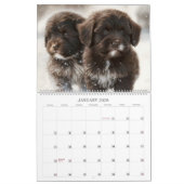 Calendrier 2023 Chocolat Havanais Chiot Par HavaHu (Jan 2026)