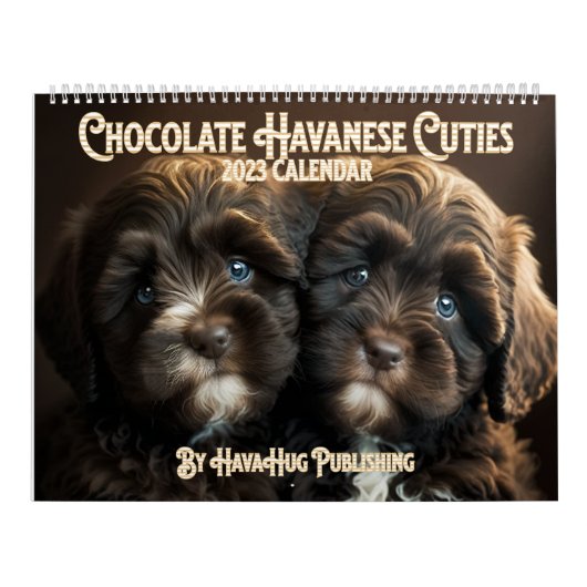 Calendrier 2023 Chocolat Havanais Chiot Par HavaHu (Protection)