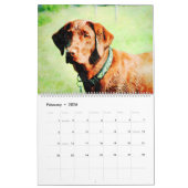 Calendrier 2023 Chocolate Lab Chien Lama Cadeau Labrador Love (Feb 2026)