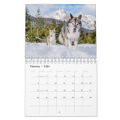 calendrier 2023 de husky dog (Feb 2026)