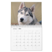calendrier 2023 de husky dog (Jan 2026)