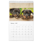 Calendrier 2023 de Pooping Dog (Feb 2027)