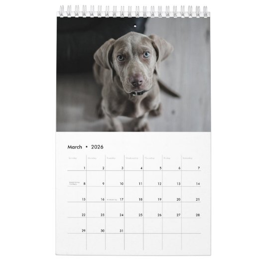 Calendrier 2023 de Pooping Dog (Mar 2026)