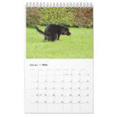 Calendrier 2023 de Pooping Dog (Jan 2026)