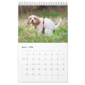 Calendrier 2023 de Pooping Dog (Mar 2026)
