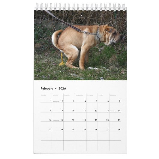 Calendrier 2023 de Pooping Dog